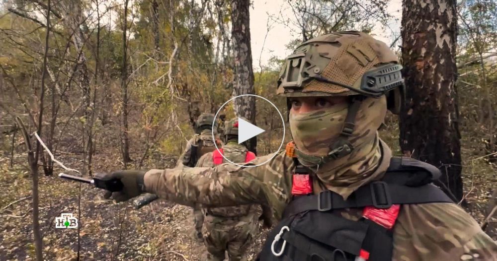 ������� ����: ��� �������� �������� ���������� ��� ��� ������ ������