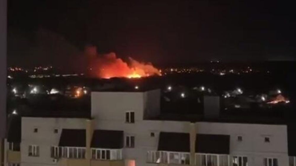 ������������� ����� �������������. ������� �� ������� �� ���� 29 ��������