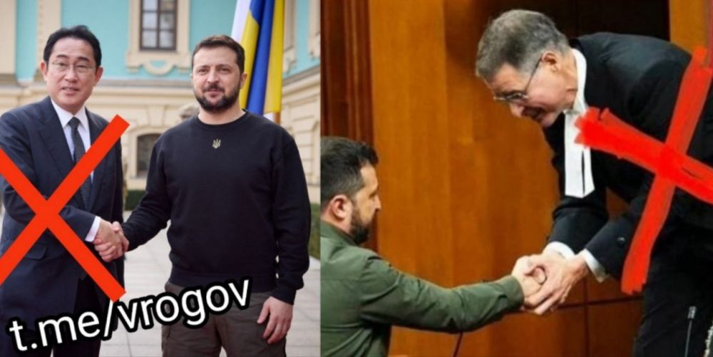 Владимир Рогов: Проклятие Зеленского в действии