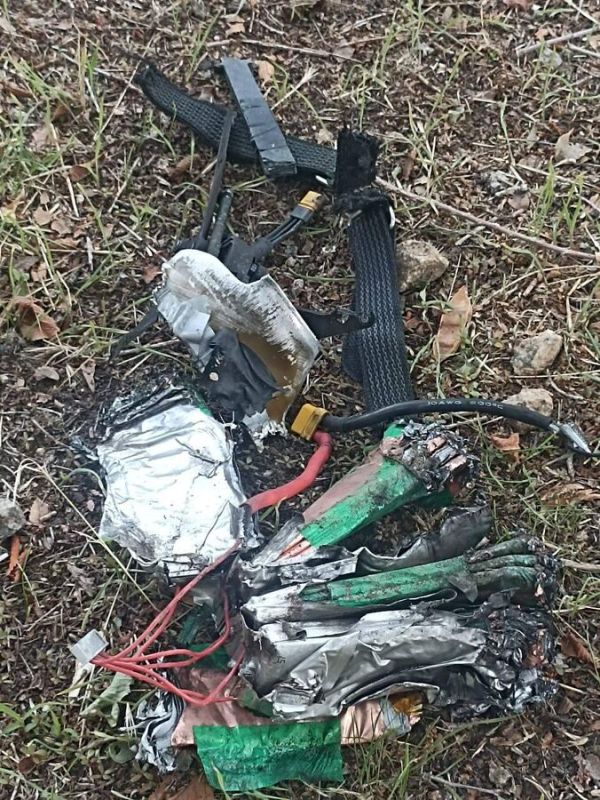 ���� �������� ������� ����� � ������������ ������ ������