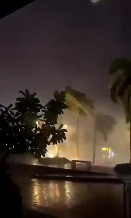 ������ ���������: ����, ������ "������" ��������� �� �������
