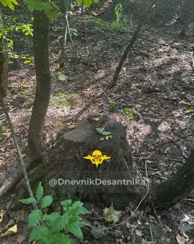 Курская область.. Вчера нашими войсками были освобождены населенные пункты Покровское и Новая Сорочина