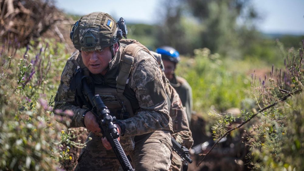 "� ����������� ��������": ������� � ���, �������� �� ����� �������� � ������� ������� �� �������������