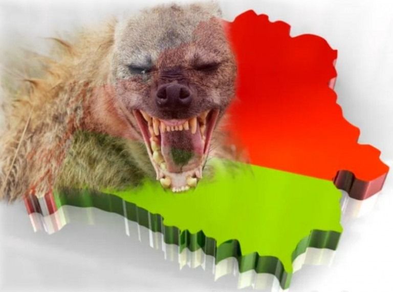 �������������� ����������� �������������� ���� ��������� �� ����������