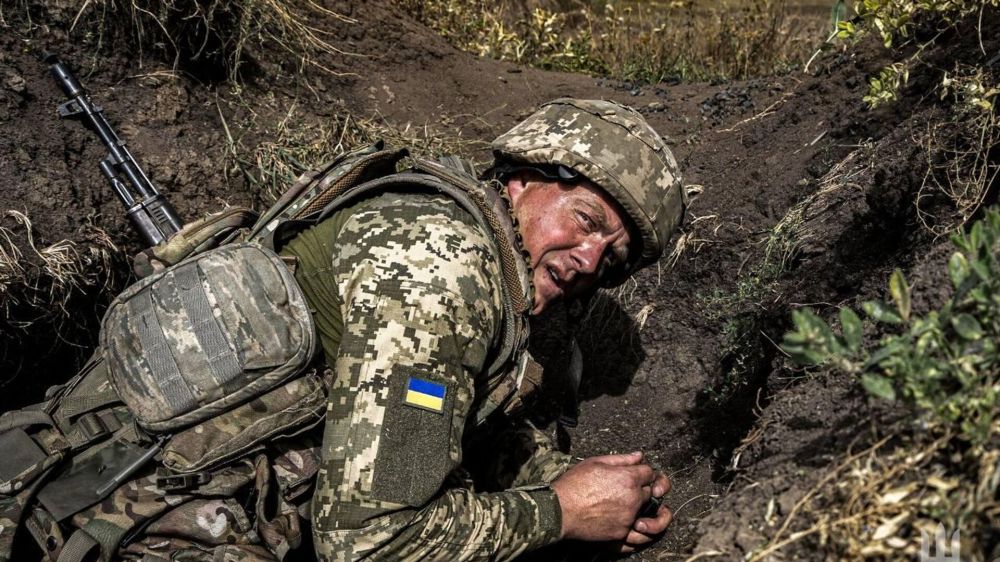 �������: ���� �� ���������� � ��������, �� �������� � ���������� ��������, � �������� ����� ��� ���������