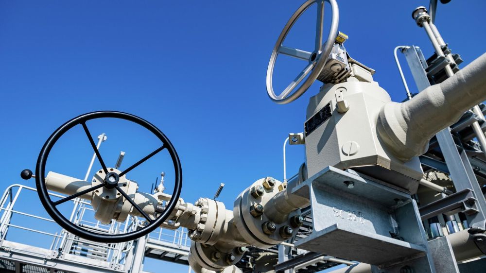 ��� ������: "����������� ����������� ����������� ���� � ����� ��������"