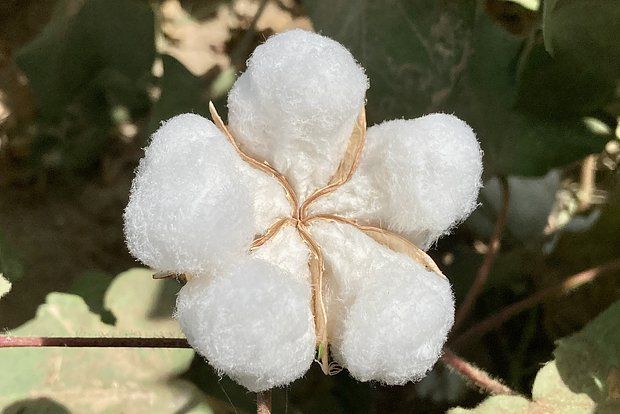 ������� �������� � ����� ������� ������ ������ ��� ������������ ������