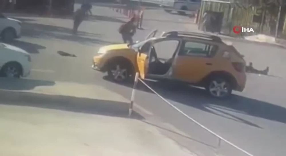 ����� ����������: ������������, ��������� � ������� ��� ����� 23 �������: