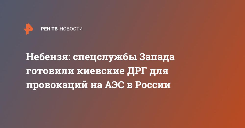 Небензя: спецслужбы Запада готовили киевские ДРГ для провокаций на АЭС в России