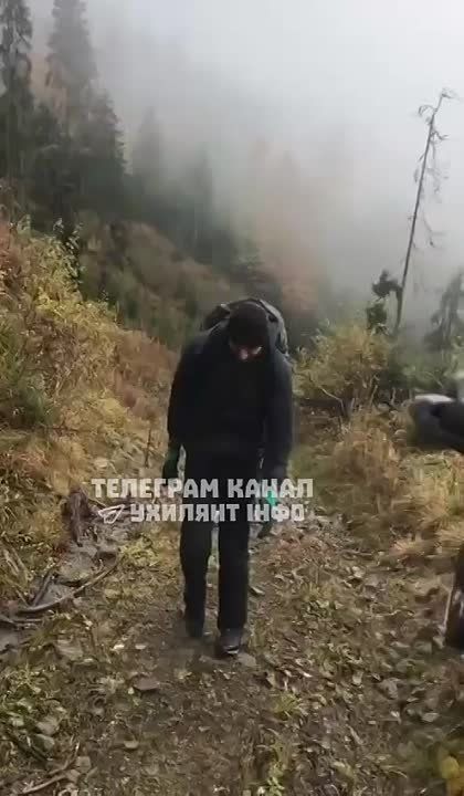 ������� ��������: ��� ����� ������, ���������� ������� � �������� � ����������� �� ���������� ����������, ��� �� ����� ���� �������� ��������� ����������
