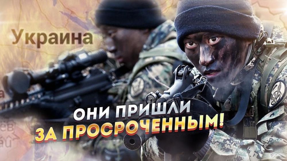 ������ ����������: ������ ������:. ��� ���������� ����������� ������ � �������� � �����, ������������ ����� � ����� �� ��� �������: