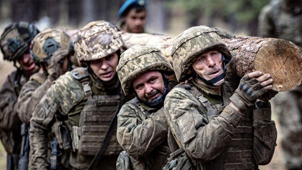 �����: ���� ����������� ����� ������� �����������, ������� ����� ������