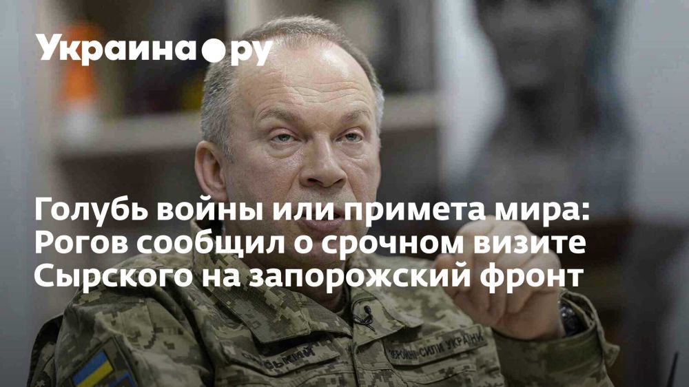 Голубь войны или примета мира: Рогов сообщил о срочном визите Сырского на запорожский фронт
