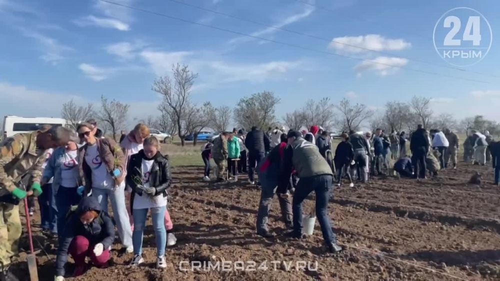 Евпатория тоже присоединилась к экологическому субботнику