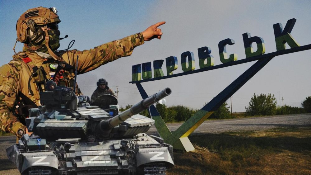 Украина потеряет весь Донбасс, если Россия освободит Покровск - Рёпке