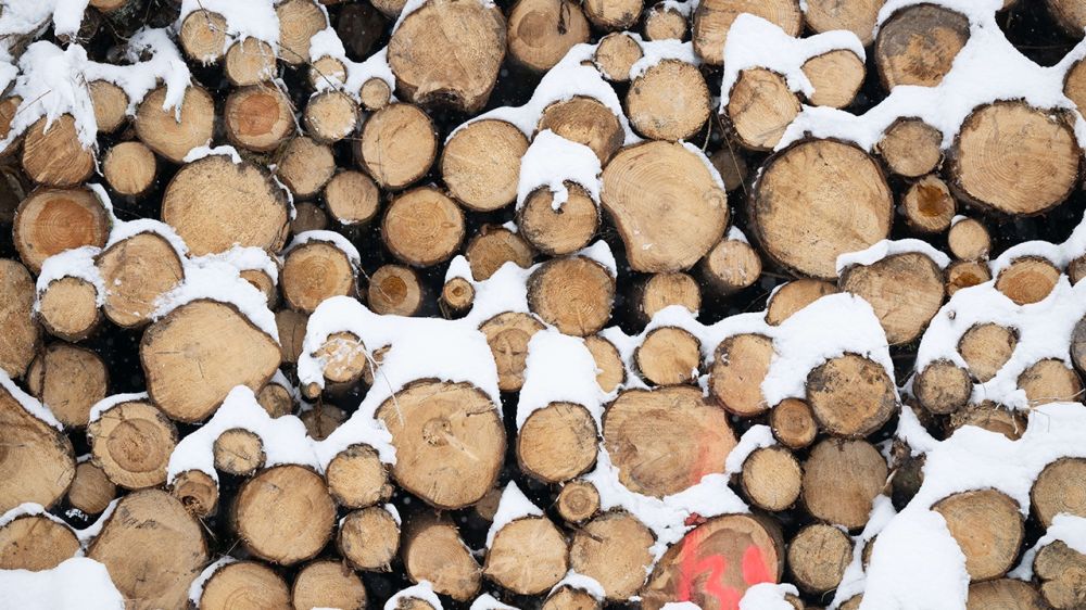 ��������� ����� ������� �� ���� ��� �� ����������� ��������� ����