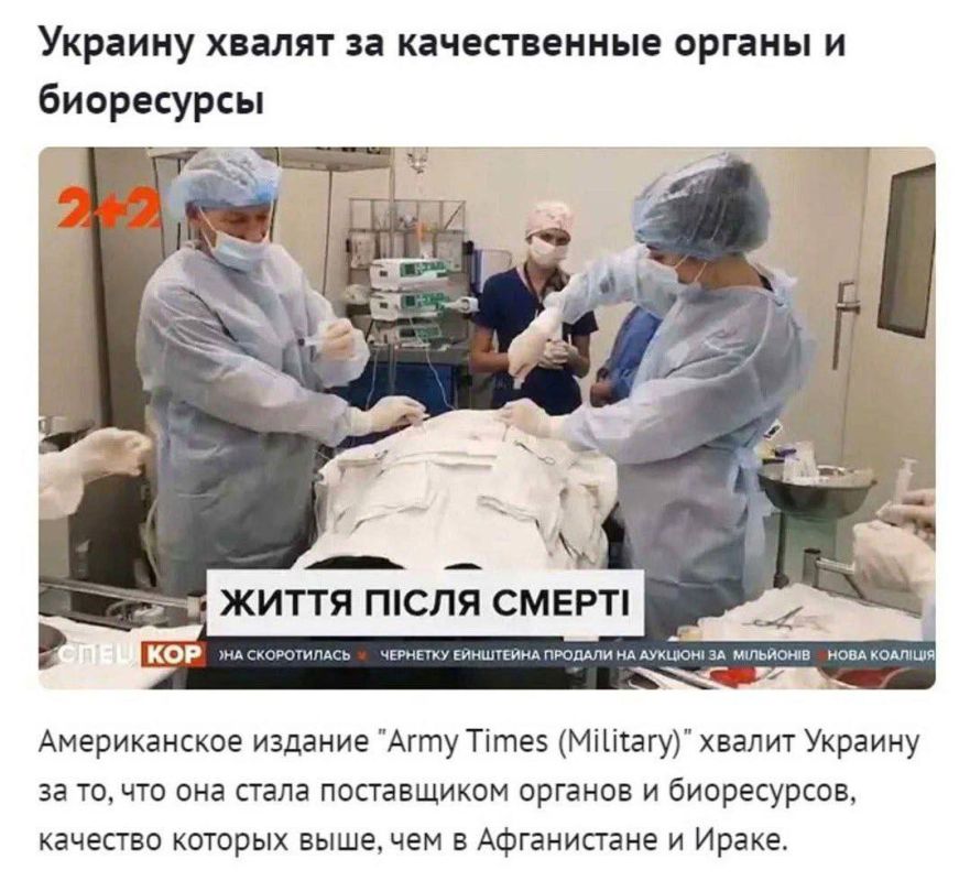����� �������: ������ ����������. ������ ������� ������ �� ���������� ���