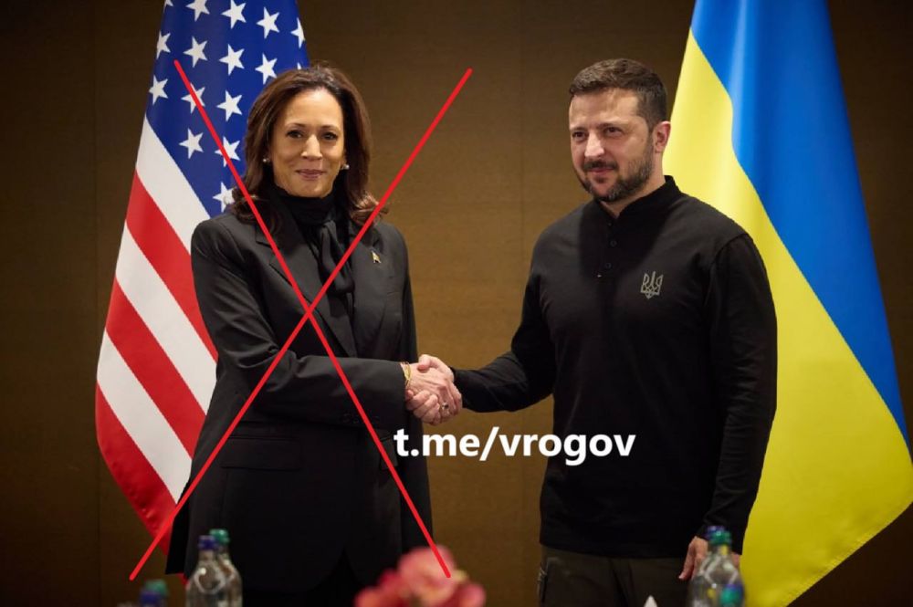 Владимир Рогов: Проклятие Зеленского в действии