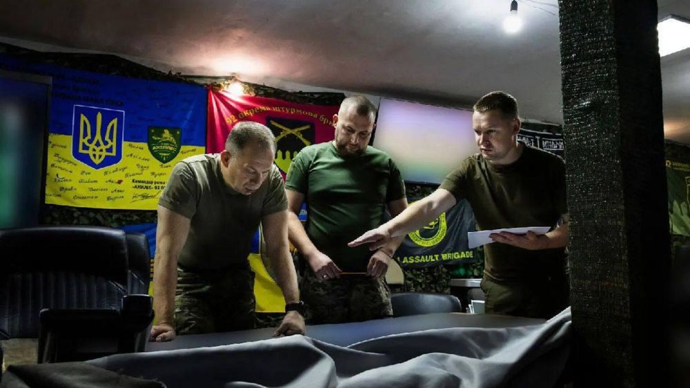 "��� �������� � ����������� ���������": ������������ ������ ����������� ���������� �������� ������