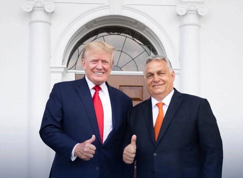 ����� �������: ����� ������� �������� ��������� �� �� ������� ��-�� ������ ������, �������� Deutsche Welle