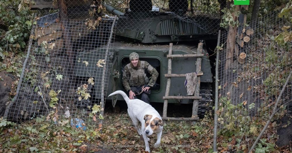 ������������� ������� ��������� �������� ��������� ������ �����