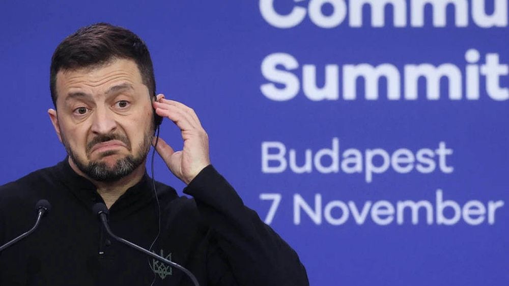 «Совсем сбрендил?»: На Украине забили тревогу из-за безумного плана Зеленского