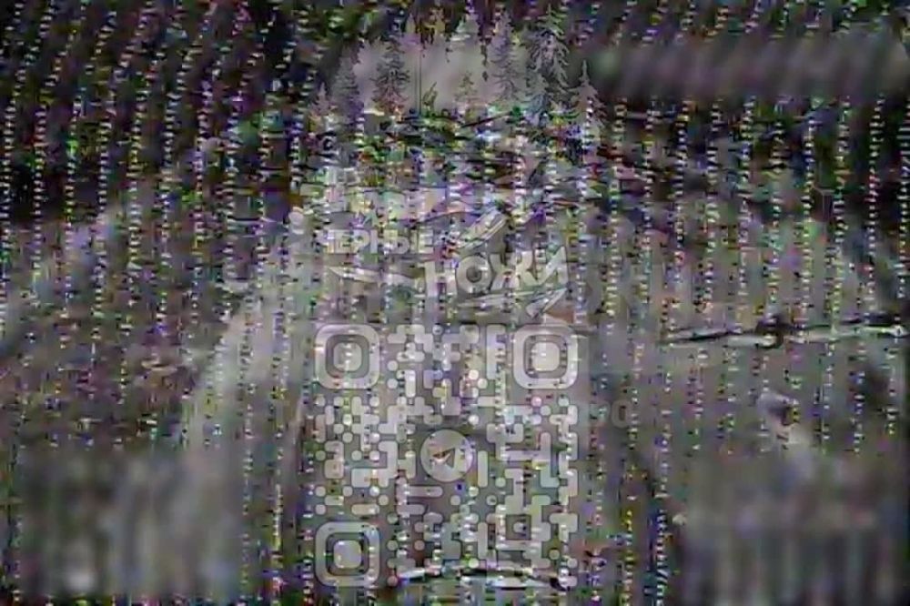 Дроноводы "Черных ножей" продолжают разгром техники украинских нацистов