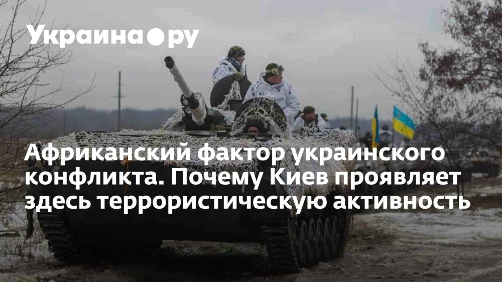 Африканский фактор украинского конфликта. Почему Киев проявляет здесь террористическую активность