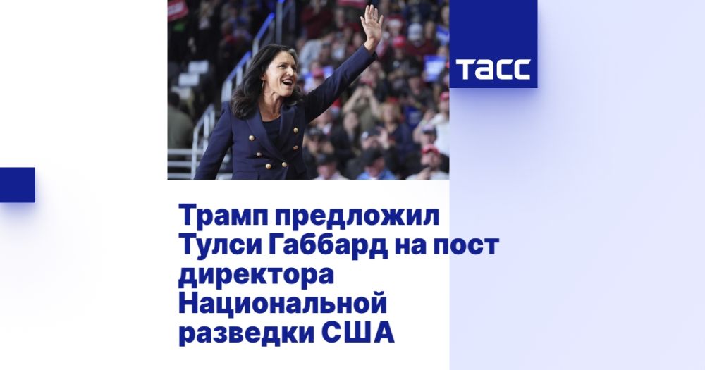 Трамп предложил Тулси Габбард на пост директора Национальной разведки США