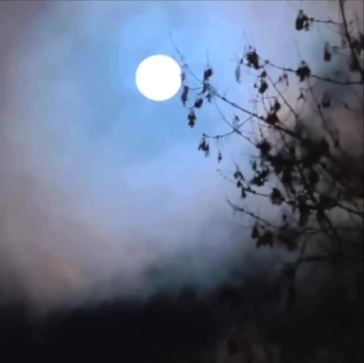 ����� ����������: ����� �������� ������, ������ ������ ������� ������ ���, � ������� �������� ��������