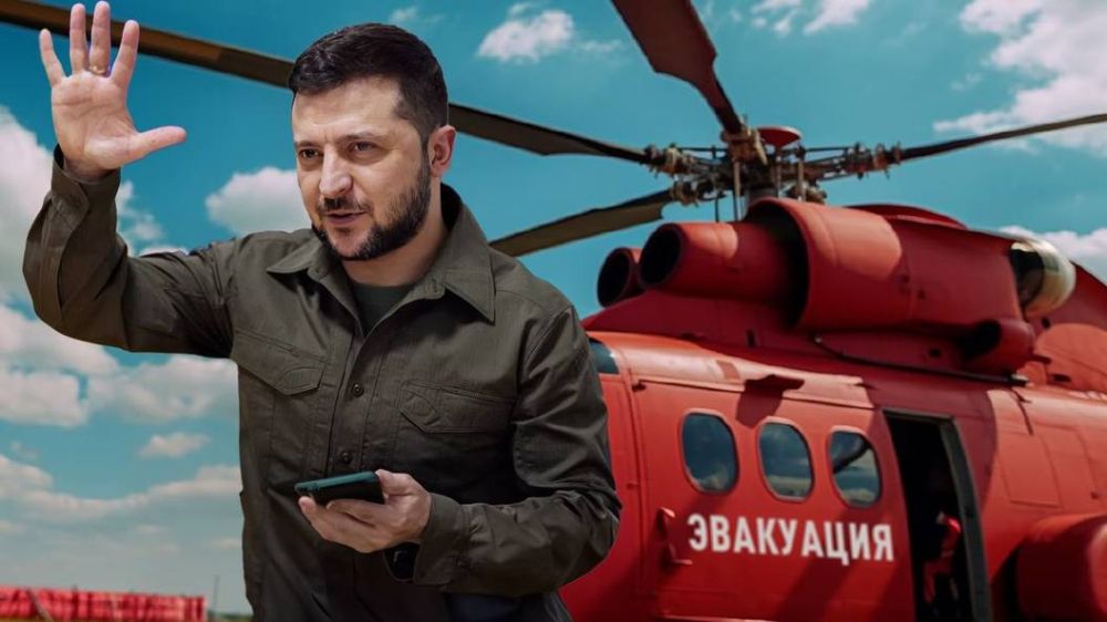 "Его убьют русские": Команда Трампа дала Зеленскому публичный совет — уйти по-хорошему