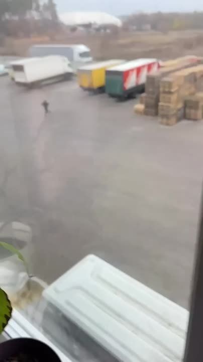 �������� �����: ��� � ����� �������� �� ������������