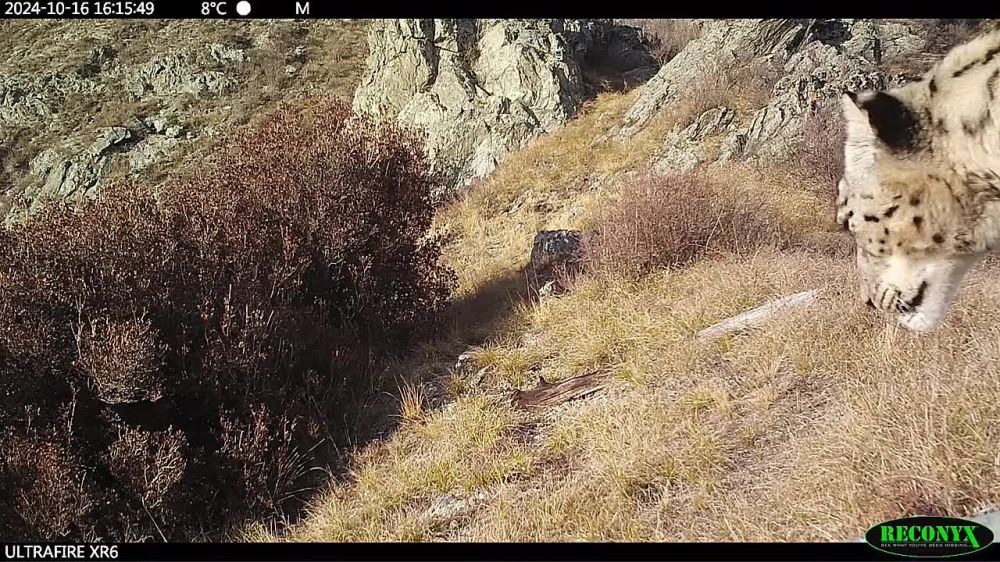 ����� ����������: ������ ���������� �� �������, �������������� ����������� �� ������� � ����� �������������� ��������� � ������