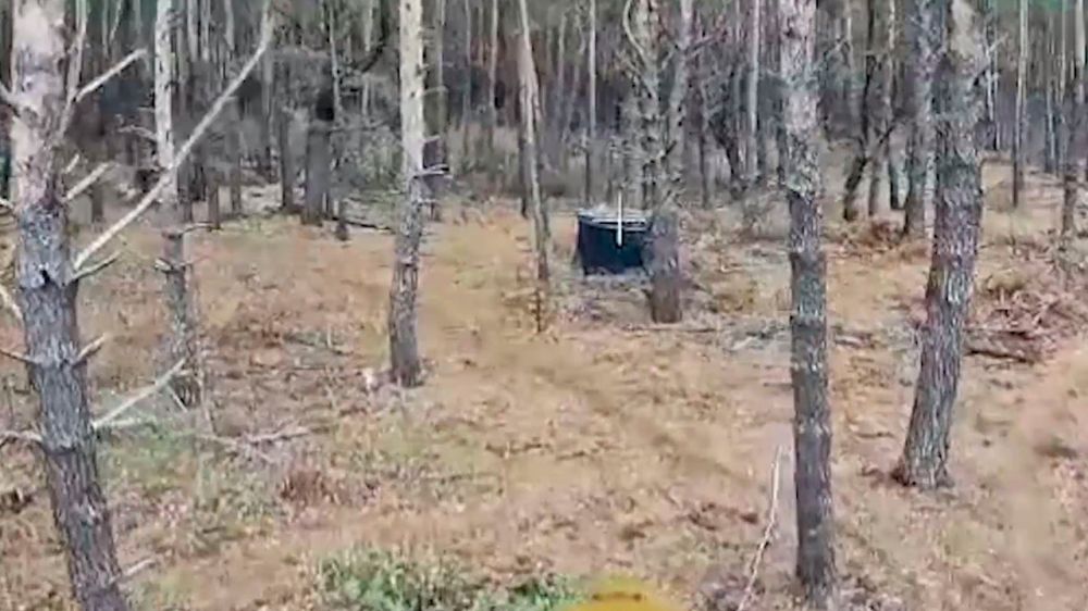 FPV-���� �������� ����� � ������� ��� � ������� ����