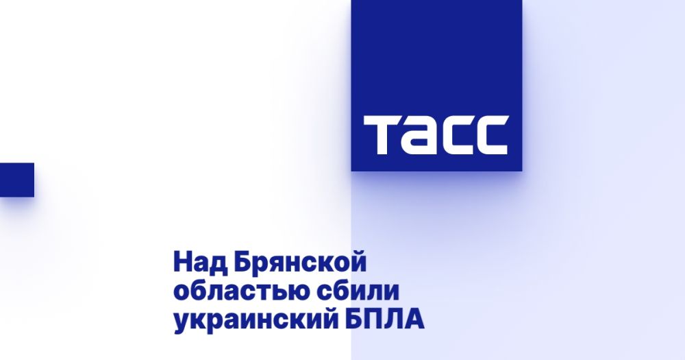 Над Брянской областью сбили украинский БПЛА