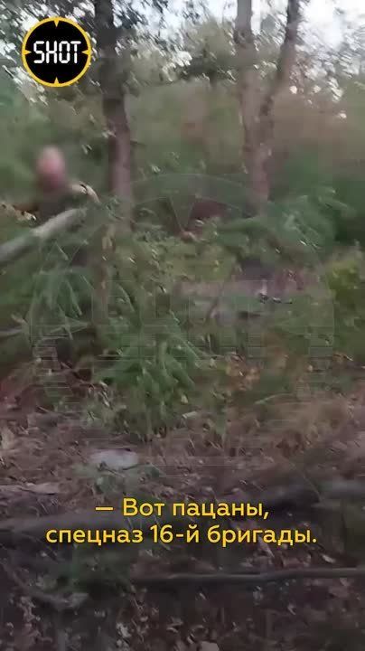 ����� ����������: ����� �������� ���� ������ ������, �� ������� ���������� �������, �� ������� ����������� ����������� ����� ���������� �� ������� ����