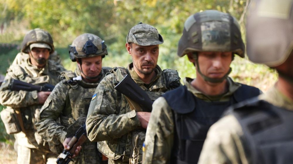 ��� "���������" � �������� ������� �������: ������� ��������� �� ���������� � ������