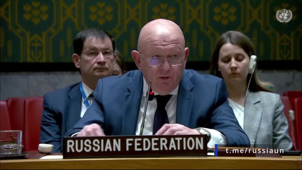 Из выступления В.А.Небензи на заседании Совета Безопасности ООН по Украине