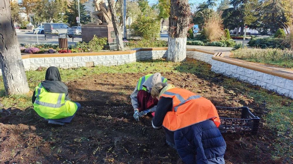 В Евпатории высадят более 30 тысяч цветов