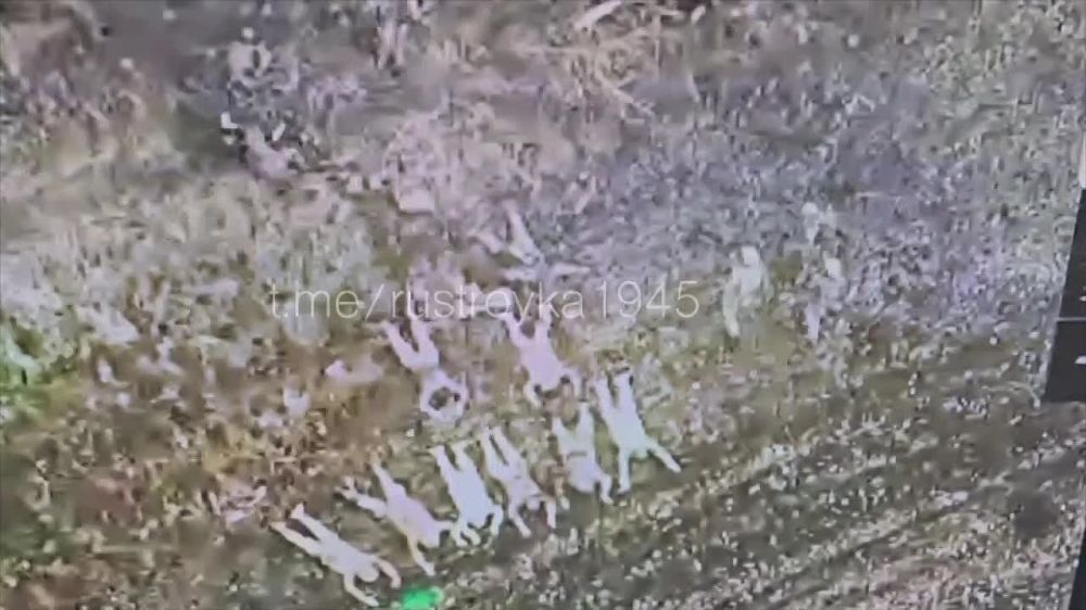������ ���������: �������� � ������� ���������� ������� ���������� �������� � ������� �������