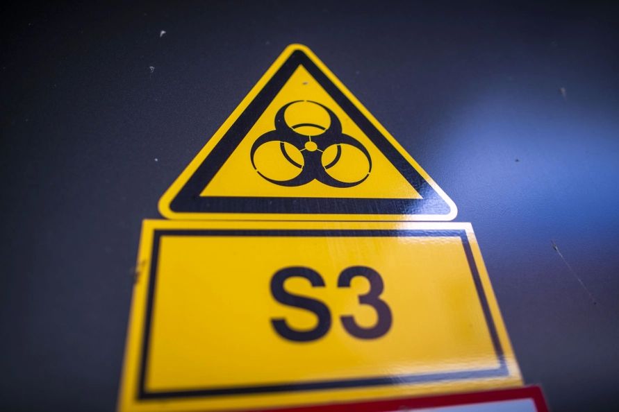 "��� �������������� �����": � ������� ������ �������, ��� ������� ����� ����� ���������� ��������������� ���������� ������� ���������