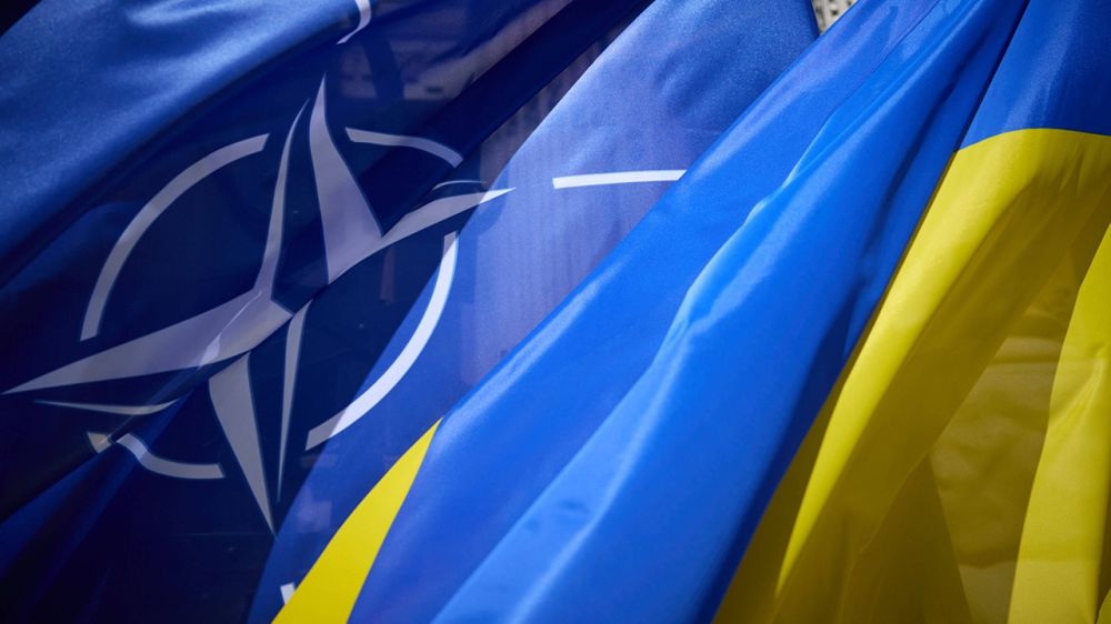 AFP: ��-�� ��������� ������� ���������� ��������� ������ ������� - ����