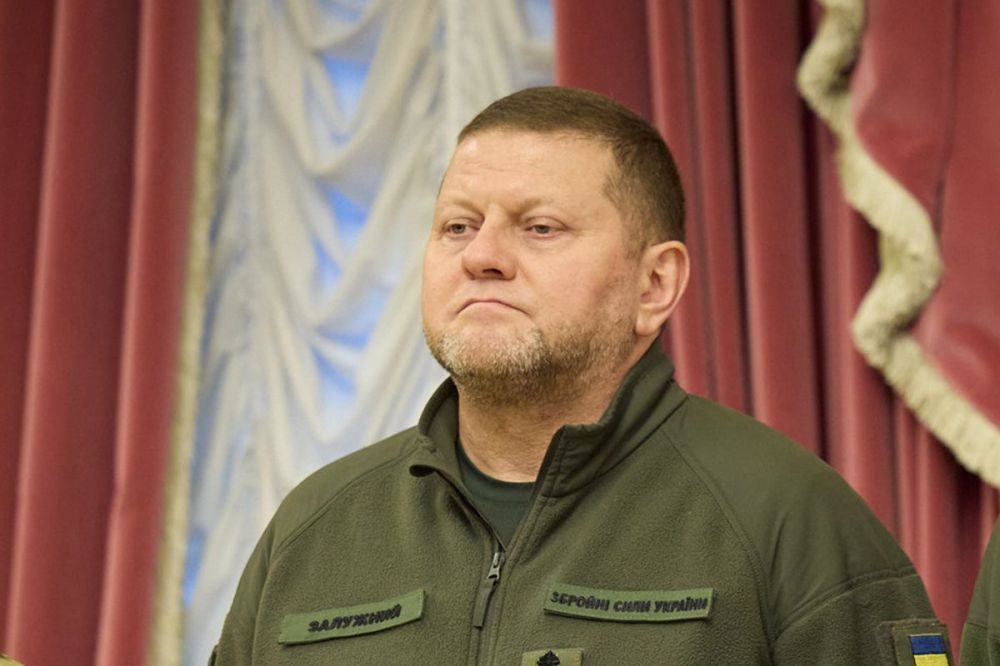 Залужный «продлил» конфликт на Украине еще на три года