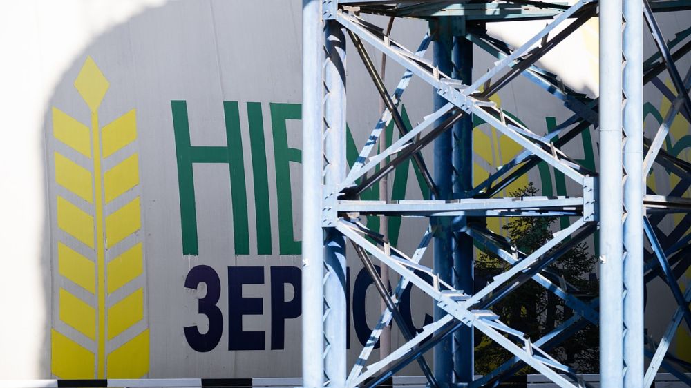 Novinky: только двое политиков приехали на саммит по зерну на Украину