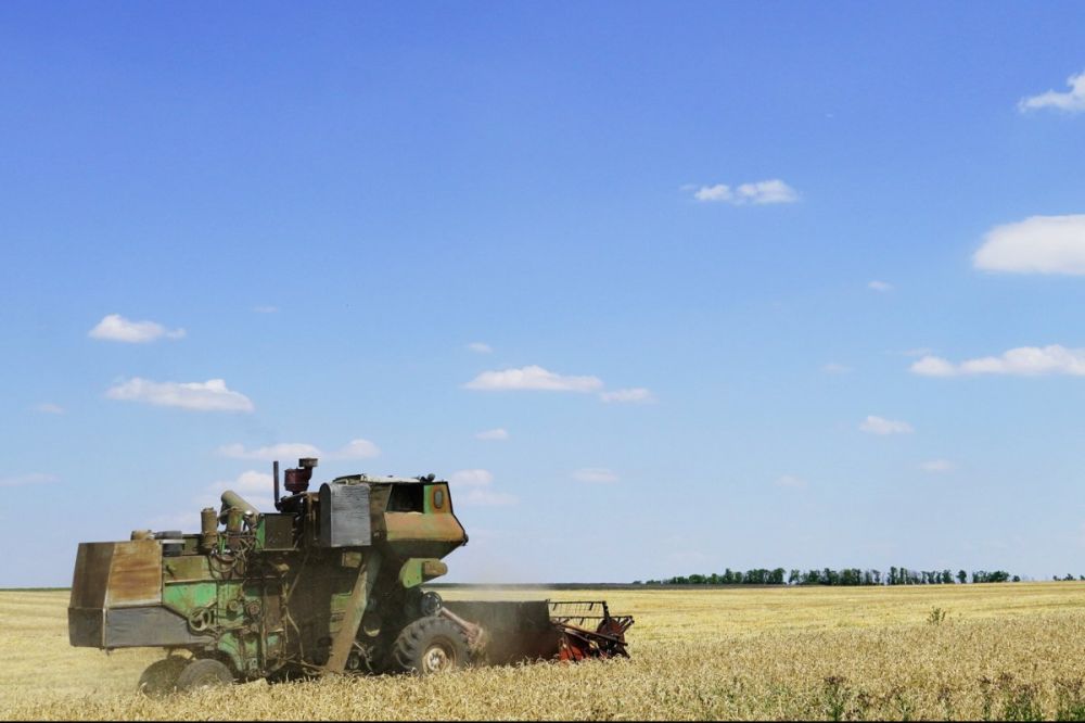 На саммит по зерну в Киеве приехали только два зарубежных политика
