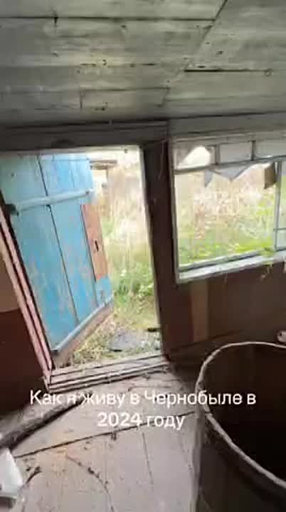 Ирина Куксенкова: На Украине сорван отопительный сезон, а ухилянты занимают "заброшки" в Чернобыле, – сводка 24 ноября: