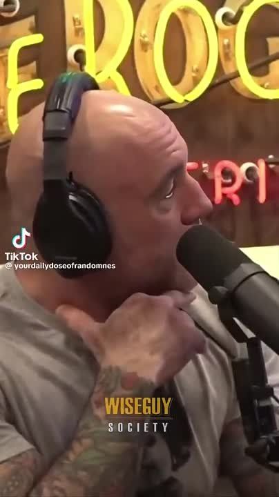 ����� ��������: ��������� ������������ ��������� ��� �����