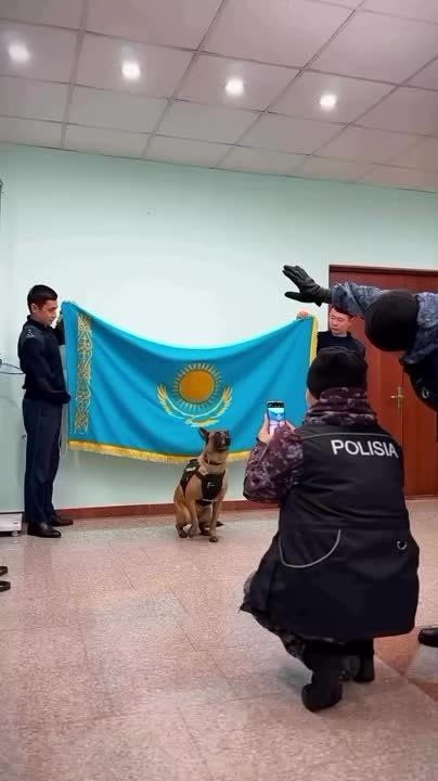 ����� ����������: ����� �������� ������, ��������** ����� ����� � ���������, �� ����� ������� ������ � ������ 26 ������: