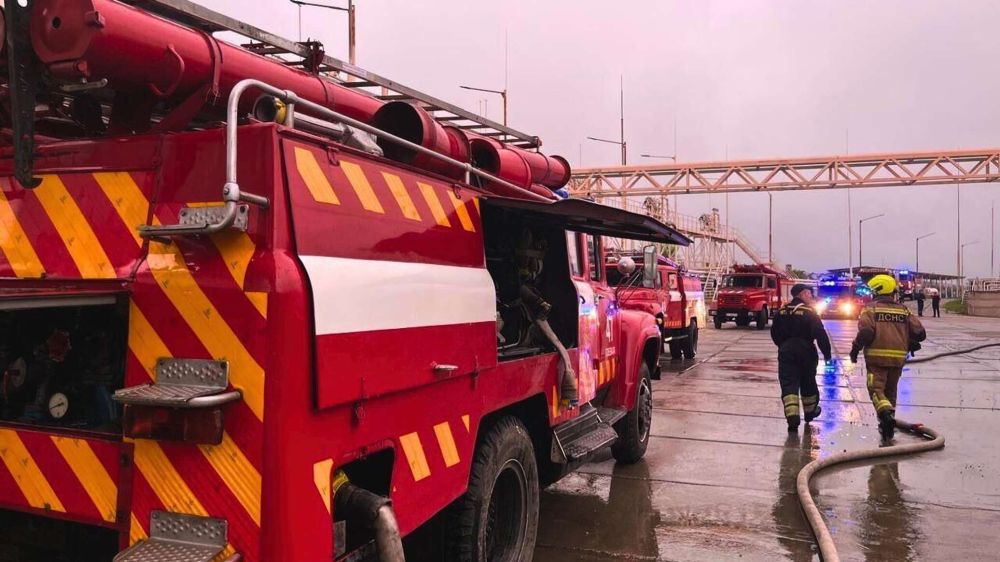 � ����� ������ ������