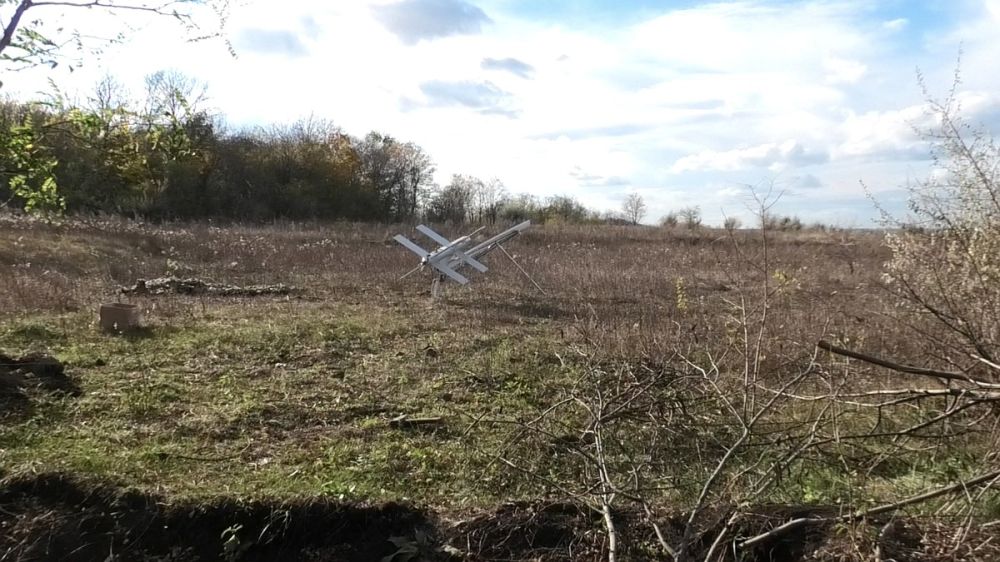 ��� ����������� ���������� ������� ���������� 30 ����